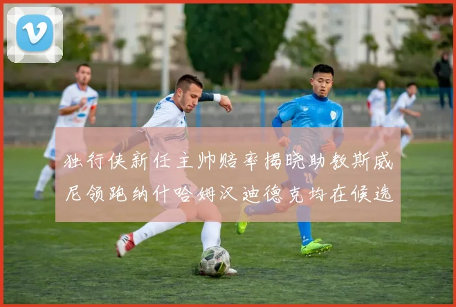 独行侠新任主帅赔率揭晓助教斯威尼领跑纳什哈姆汉迪德克均在候选之中